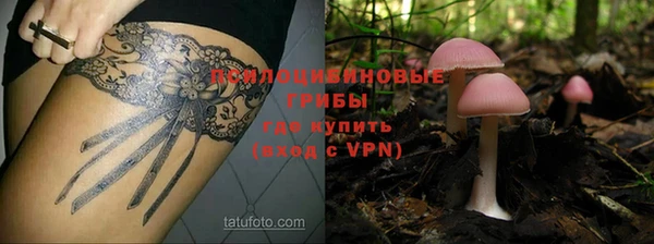 apvp Дмитровск