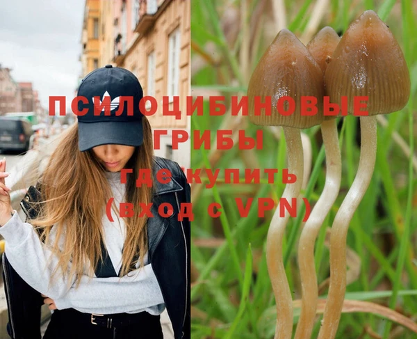 мефедрон Дмитриев