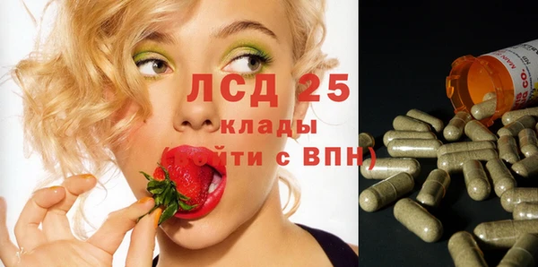 шишки Елабуга