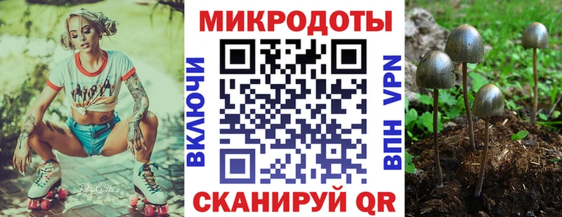 Псилоцибиновые грибы мицелий даркнет состав Копейск как найти закладки